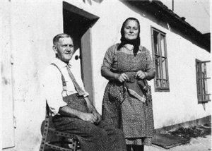 36 jakubcikovci