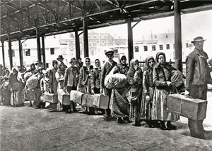 54 emigranti