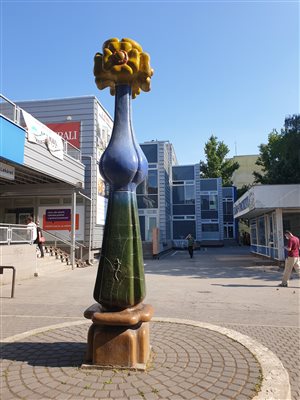 kvetsocha