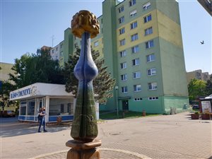 sochakvet