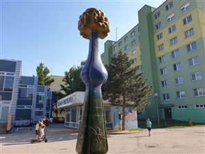 sochakvett