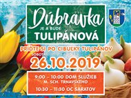 Príďte si po cibuľky tulipánov