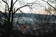 Vtáčia chrípka - nariadenia