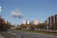 50-tisíc tulipánov pre Dúbravku
