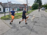 Šprintuj TY a PES (3)