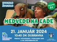 Medvede na ľade (detské divadielko na nedeľu)