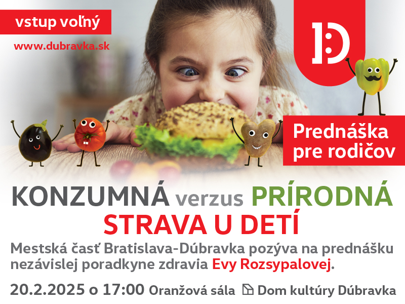 prednáška
